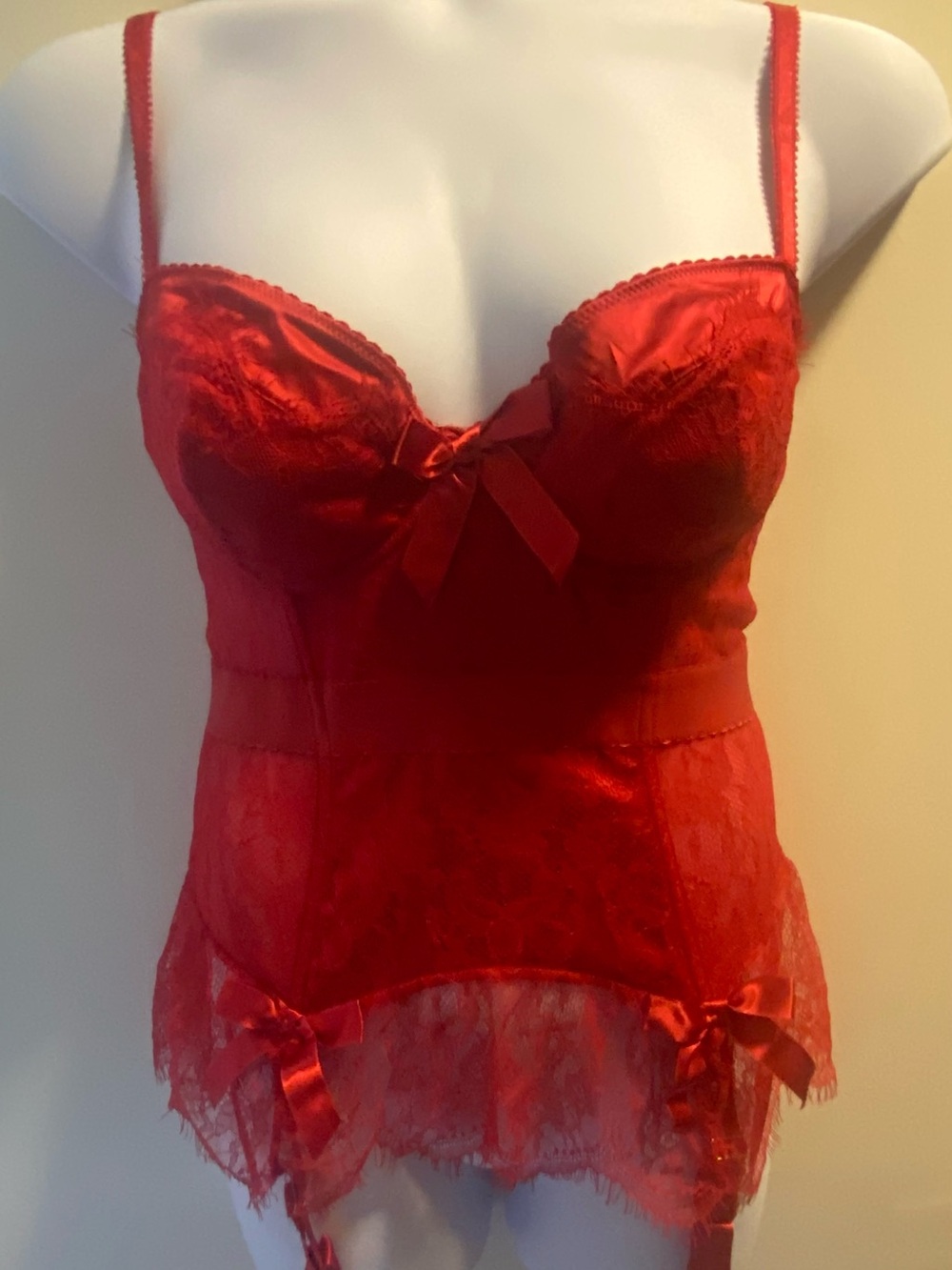 NWT Bettie Page Lace Basque Bustier Lingerie Top in Crimson Red